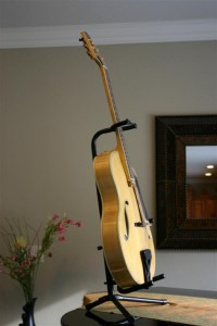 Thorell Sweet E 036 (Large)
