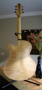 Thorell Sweet E 047 (Large)