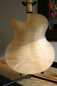 Thorell Sweet E 048 (Large)