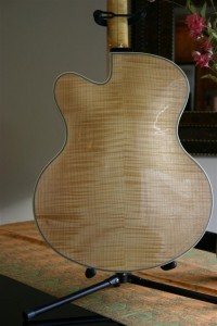 Thorell Sweet E 049 (Large)