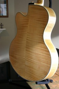 Thorell Sweet E 050 (Large)