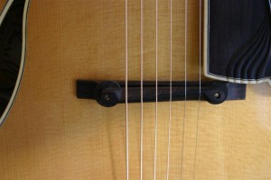 Thorell Sweet E 054 (Large)