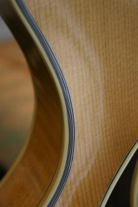 Thorell Sweet E 057 (Large)