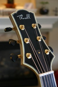 Thorell Sweet E 077 (Large)